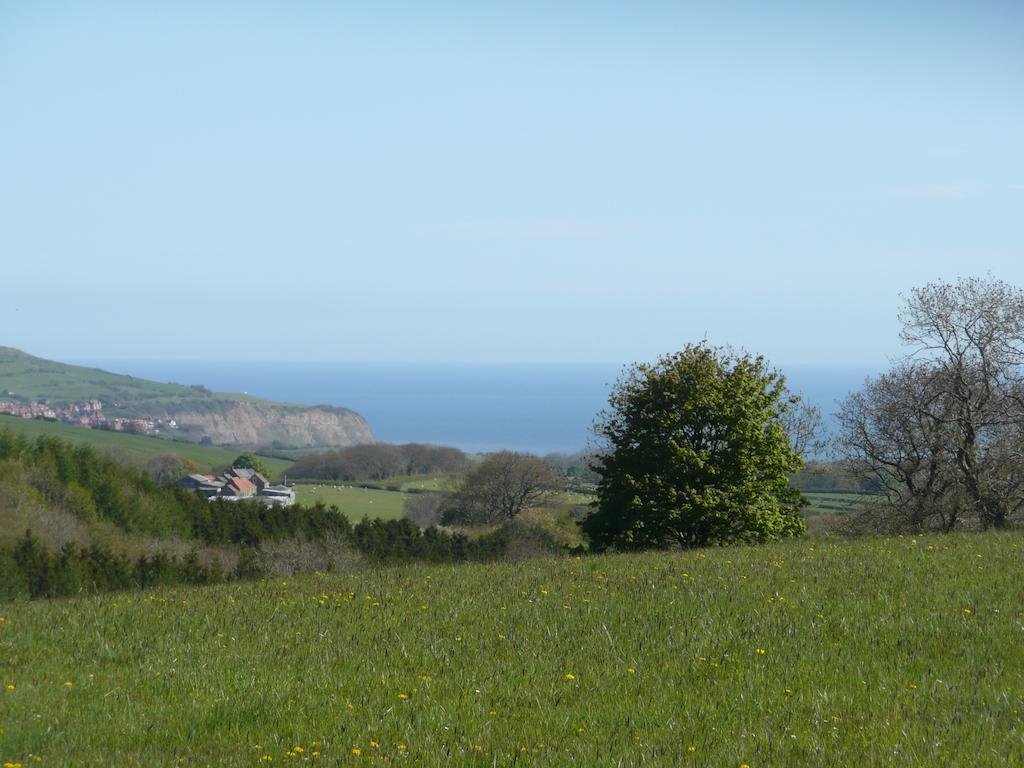 Meadowbeck